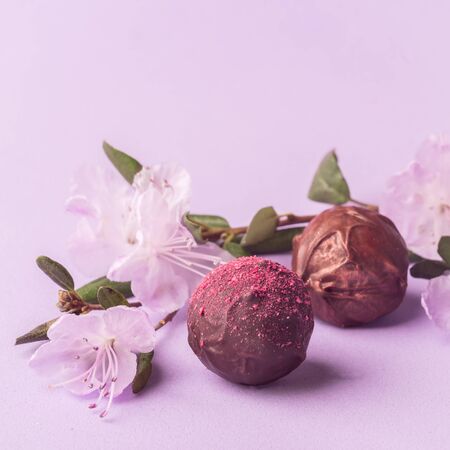 Chocolate sweets on a trending purple background decorated with fresh flowers. A place for design....