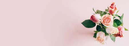 Beautiful fresh roses close-up on a pastel pink background. Selective focus copy space natural...