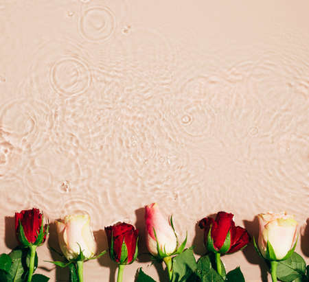 Natural floral mockup. Fresh rose buds on water wave splash background. Top view flat layout copy...