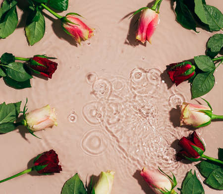 Natural floral mockup. Fresh rose buds on water wave splash background. Top view