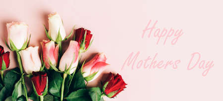 Beautiful fresh roses close-up on a pastel pink background. natural backgroundの写真素材