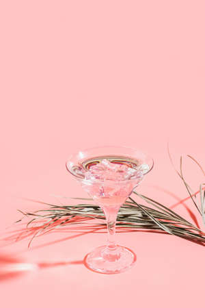 Martini with ice elegant glass against a pink background a branch palm plant. Fashionable bright direct flash lightの写真素材