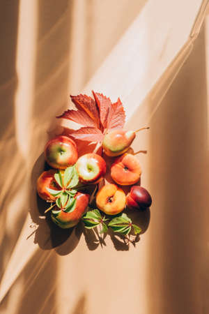 Autumn harvest concept Thanksgiving Day. Ripe red and yellow fruits apples pears grapes and leavesの写真素材