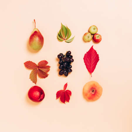Autumn trendy geometric layout of autumn fruits apples pears leaves on a light pastel background. Autumn harvestの写真素材