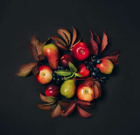 Thanksgiving harvest concept. Autumn seasonal fruits apples pears grapes fallen leaves black background, vintageの写真素材