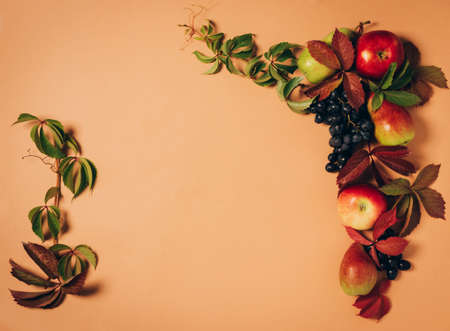 Autumn seasonal fruits apples pears grapes leaves pastel brown background. Thanksgiving harvest...