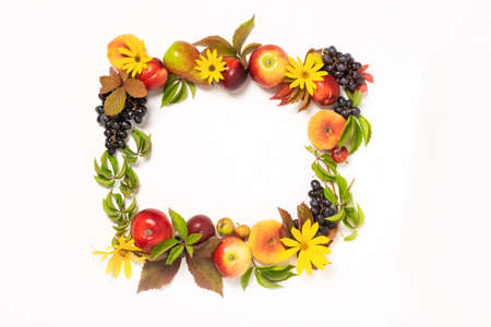 Autumn fruits apples pears grapes fallen leaves lined with frame white background. Thanksgiving harvest conceptの写真素材