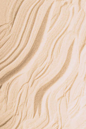 Abstract sand texture. Natural sandy background for product presentation. Top view frameの写真素材