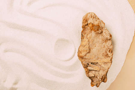 Beach sand sand wave pattern stone zen. Abstract sand texture. The concept of spiritual harmony of beautyの写真素材
