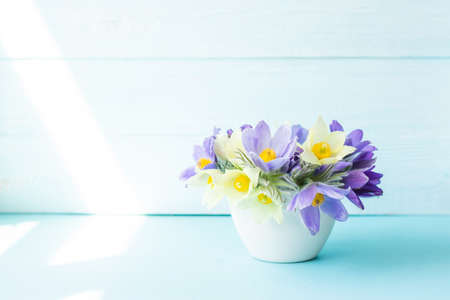 Bouquet of spring flowers in a vase. Snowdrop or lumbago on a light background with copy spaceの写真素材