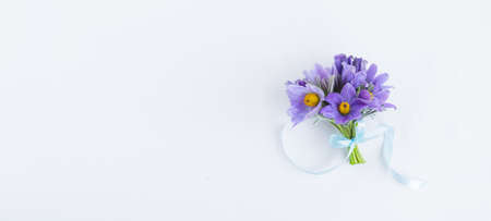 A bouquet of spring flowers, snowdrop or lumbago on a light background. Festive spring flat composition, copy spaceの写真素材