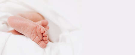 The legs of a newborn baby peek out from a white blanket. Selective soft focus, close-upの写真素材