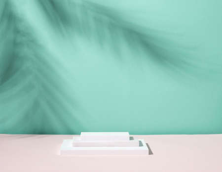 Abstract podium pedestal from white marble, blue menthol empty background deep shadows from plantの写真素材