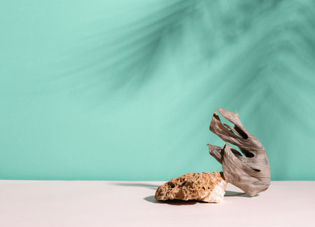 Abstract modern podium dry plant and stone, blue menthol empty background deep shadows from plant