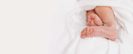 The legs of a newborn baby peek out from a white blanket. Selective soft focus, close-upの写真素材