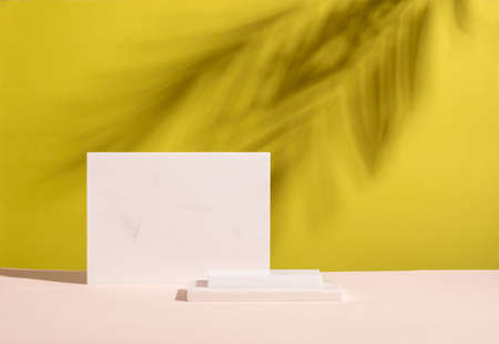 Abstract podium pedestal made white marble colorful bright empty background hard shadows from plantの写真素材