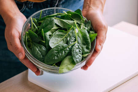 Female hands hold a bowl of fresh green spinach leaves, close-up soft focus. Vegetarianismの写真素材