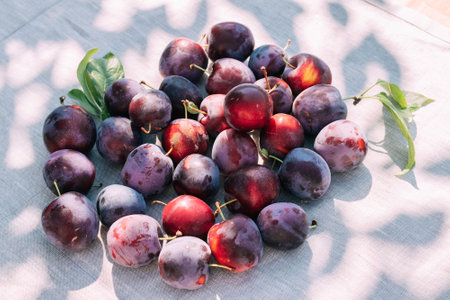 Fresh plum, fruits of ripe organic fruits on kitchen table, top view. seasonal harvestの写真素材