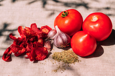 Appetizing dried and fresh tomatoes, various spices and herbs lie on the kitchen table, bright sunlight and shadeの写真素材