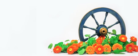 Festive composition of their orange saffrons, Ashoka wheel, white background with copy space. Indian Independence Dayの素材