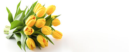 Beautiful flowers, yellow tulips, white background. Postcard template Womens Day, March 8, Nurses Dayの素材