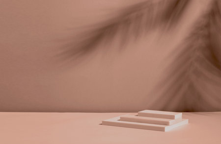 Minimalist beige scene with shadows of palm leaves and geometric shapesの写真素材