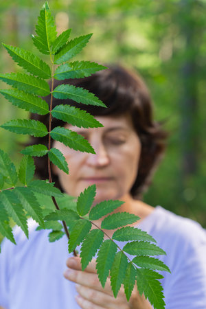 Caucasian mature female examining lush green leaves in forest. Mental health, female harmonyの写真素材