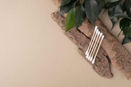 Wood cotton swabs on natural bark, green leavesの写真素材