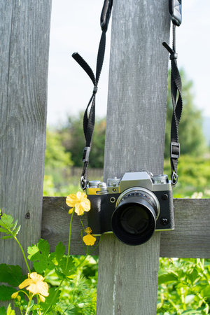 Vintage camera hanging on wooden fence in blooming garden