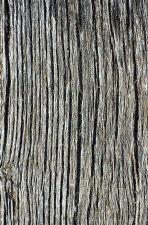 Cracked timber textureの写真素材