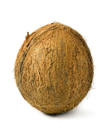 Whole coconut on white backgroundの写真素材