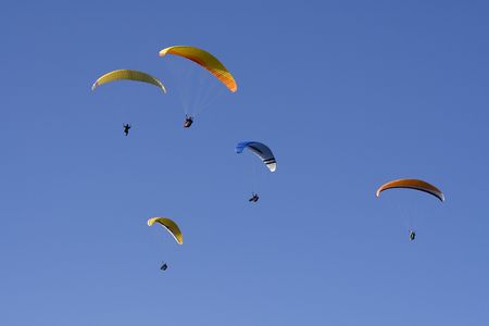 Paragliders flying in formation
