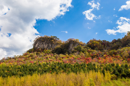 Landscape scenery view of a grassland under the blue skyの写真素材