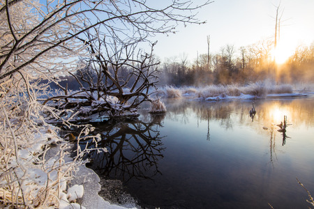trees and lake at forest under sunset in snowの写真素材