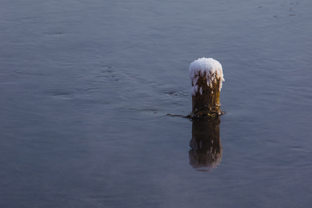 View of a tree stump covered in snow in the waterの写真素材