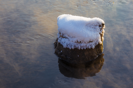 View of a tree stump covered in snow in the waterの写真素材