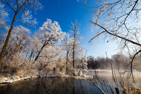 Landscape view of trees during winter under the blue skyの写真素材