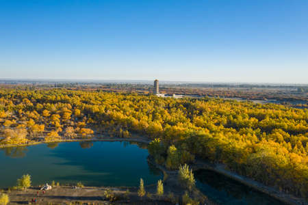 Photo of China Jiuquan Jinta Populus euphratica Scenic Spotの写真素材