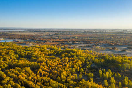 Photo of China Jiuquan Jinta Populus euphratica Scenic Spotの写真素材