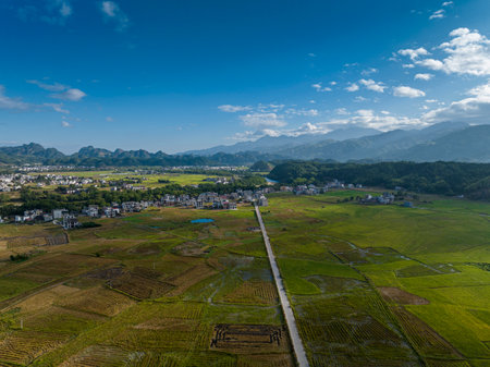 Aerial view of rice paddy field in Sapa, Vietnamの写真素材