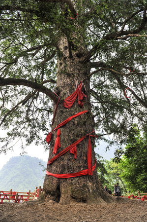 China hubei shennongjia
