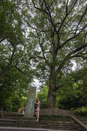 Landscape view of li keng village in qikou town, wuyuan county, jiangxi province, Chinaのeditorial素材