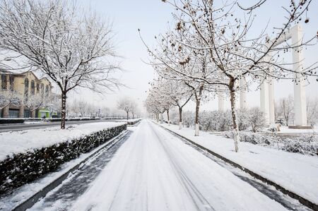 Urban parks with snow in winter are covered with white snowflakes.の写真素材