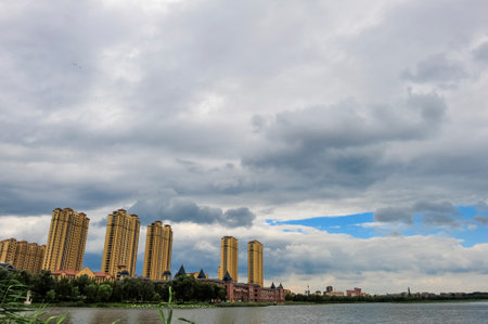 Under the environment of snowy weather in winter, the branches and leaves of plants are covered with frostの写真素材