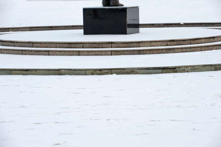 Under the environment of snowy weather in winter, the branches and leaves of plants are covered with frostの写真素材