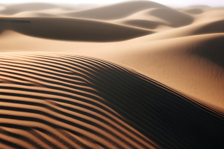 Sand dunes in the desert. Close-up. Abstract background.の素材