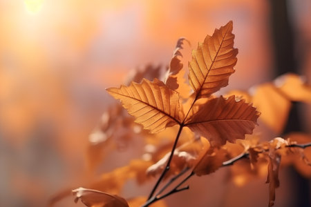 Autumnal background with golden leaves and bokeh effect.の素材