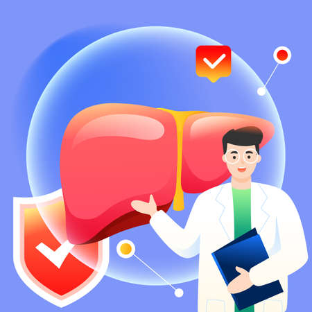 World hepatitis day, doctor examines liver to treat hepatitis disease, vector illustrationのイラスト素材