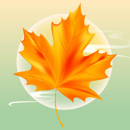 Beginning of autumn festival, autumn maple leaves fall down, vector illustrationのイラスト素材