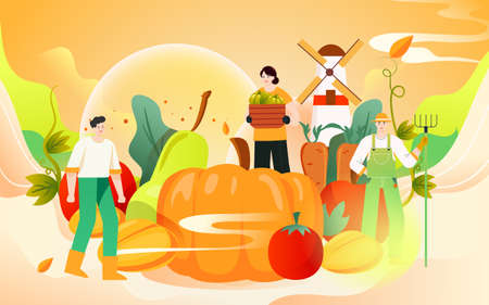 Farmer harvesting fruits in autumn, late autumn season landscape, vector illustrationのイラスト素材